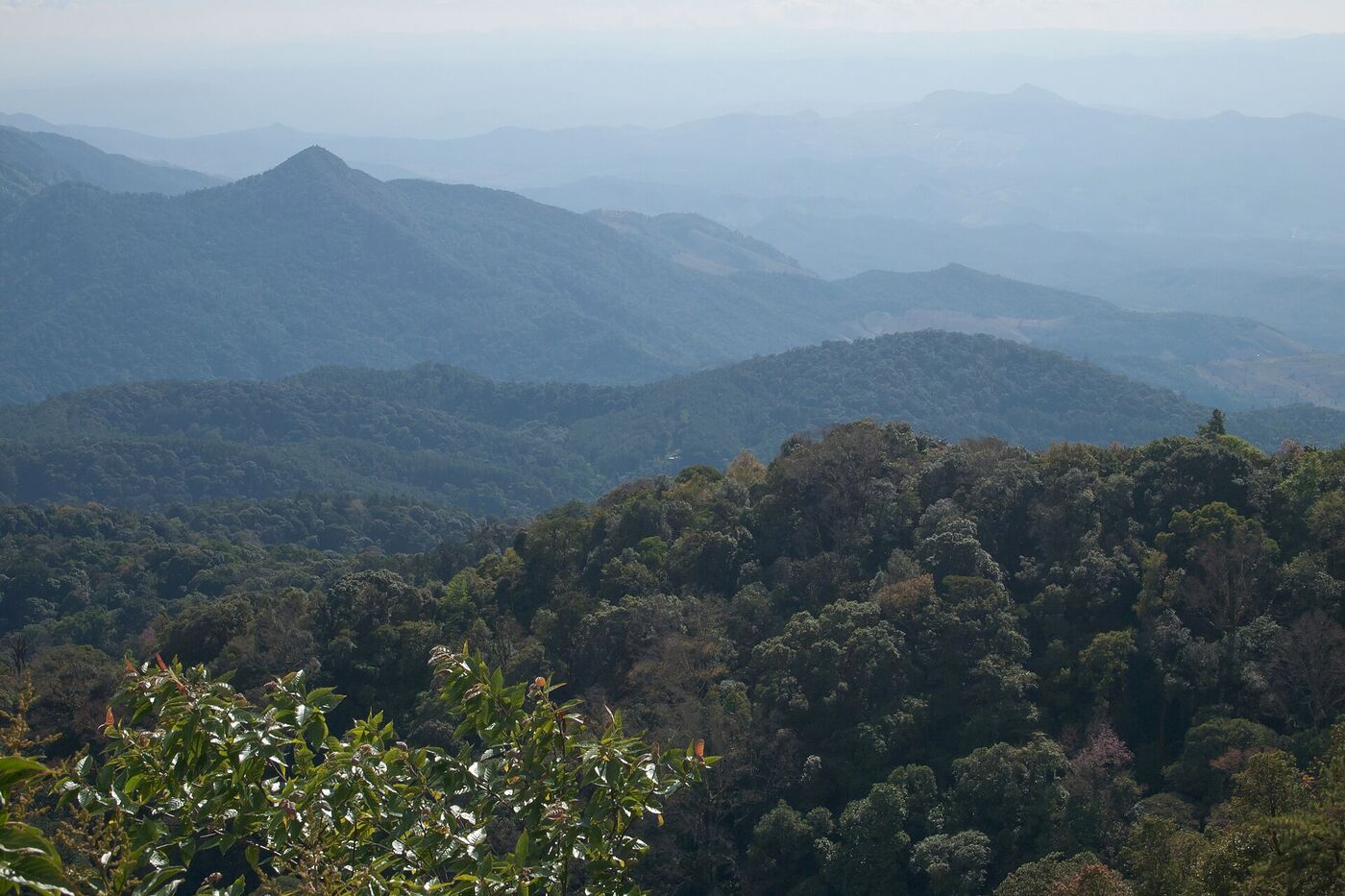 The mountains of Doi Inthanon National Park